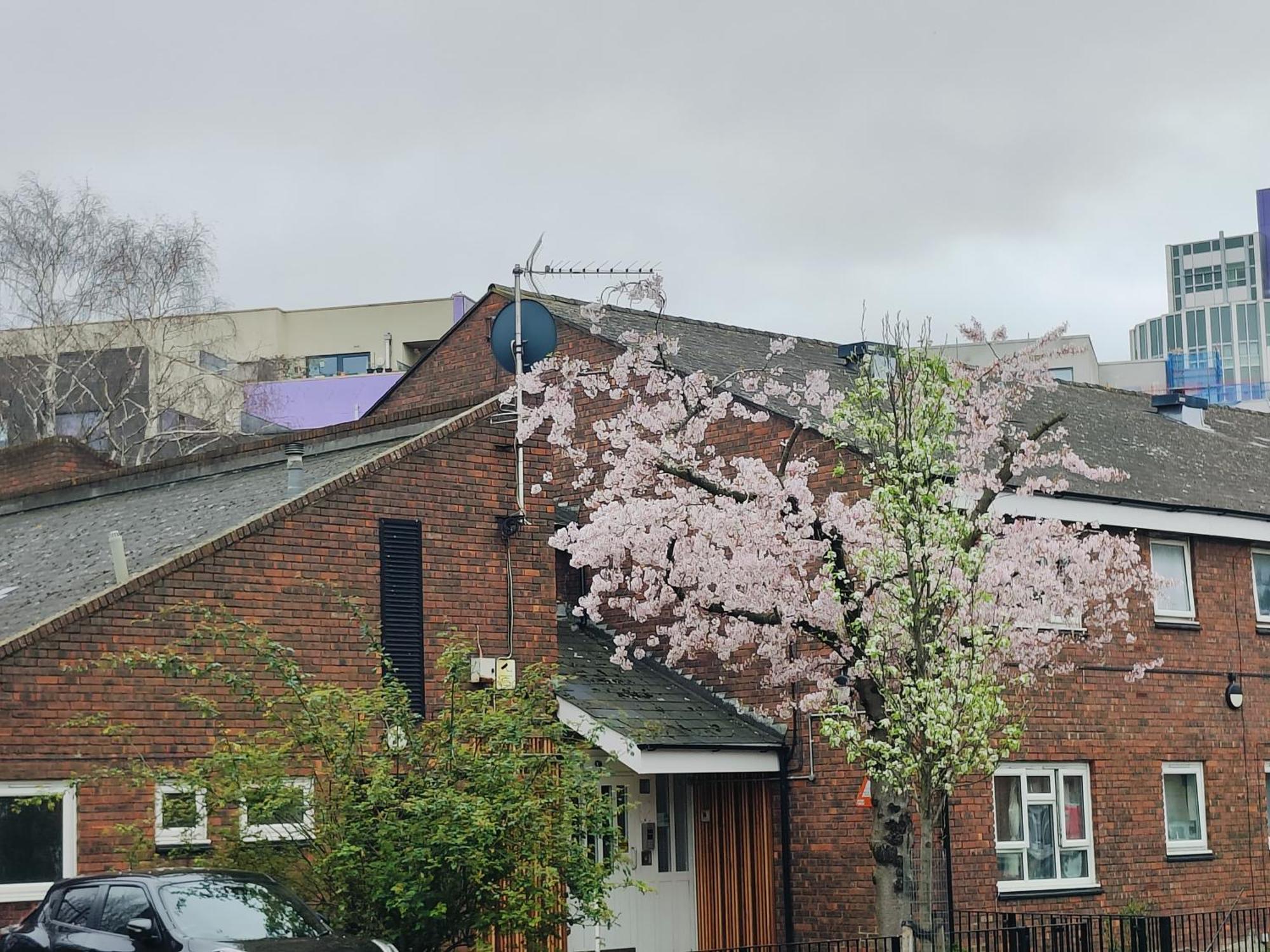 Clifton House O2 & Excel Rooms With Private Bathroom And Breakfast Option London Exterior foto